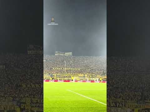 "⚫" Barra: Barra Amsterdam &bull; Club: Peñarol &bull; País: Uruguay