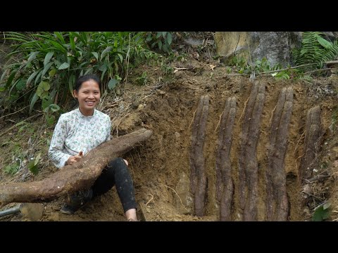 The Life of a 17 Year Old Single Mother - Harvesting Giant Roots & Farm Care