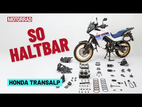 Honda Transalp XL750: Motor-Check nach 50.000 km | Dauertest-Zerlegung
