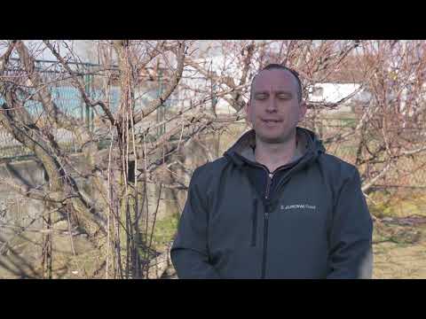 Црни Трн (Crni Trn) - Трњина (Trnjina)