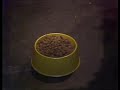 Classic Sesame Street Before And After Man S Best Friend 1979