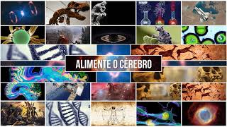Transmissão ao vivo de Alimente o Cérebro