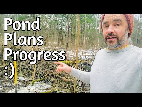 Pond Site - Clearing, Sketching, Moving Water!