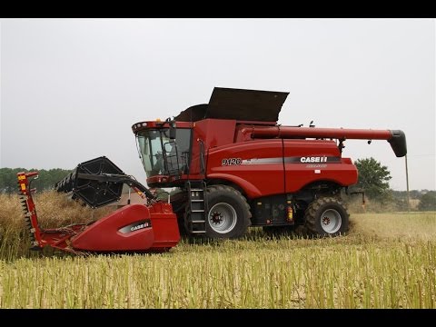 Case IH Axial-Flow 9120 cutting oil seed rape | Suffolk, England