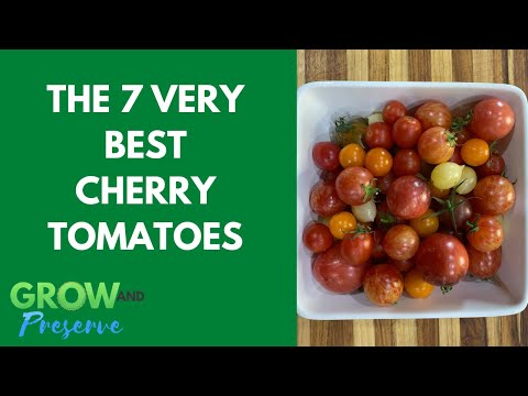 7 Best Cherry Tomatoes for the Home Gardener--and 2 Not Worth Growing 🍅