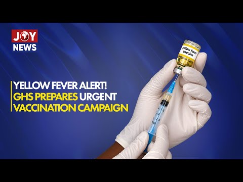 Yellow Fever Alert: GHS prepares emergency vaccination campaign as cases raise concern | News Desk