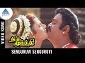Thirumoorthy Tamil Movie Songs Senguruvi Senguruvi Video Song Vijayakanth Ravali Deva
