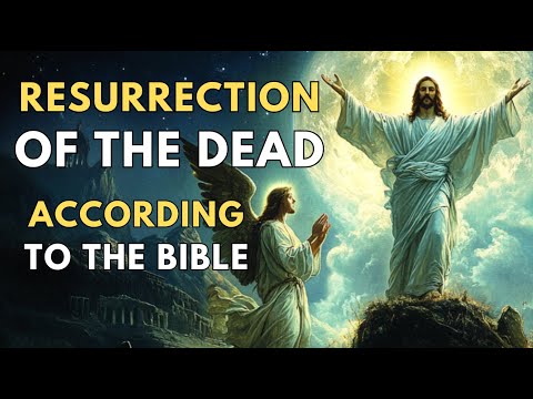 What the Bible SaysAbout the Resurrection of the Dead: The Promise of Resurrection | Biblical Wisdom