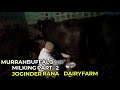 Contact No 9991779886 Murrah Buffalo Milking Part 2 JRDF