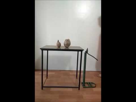 download lagu mp3 mp4 Coconut Water Shelf Life After Opening, download lagu Coconut Water Shelf Life After Opening gratis, unduh video klip Coconut Water Shelf Life After Opening
