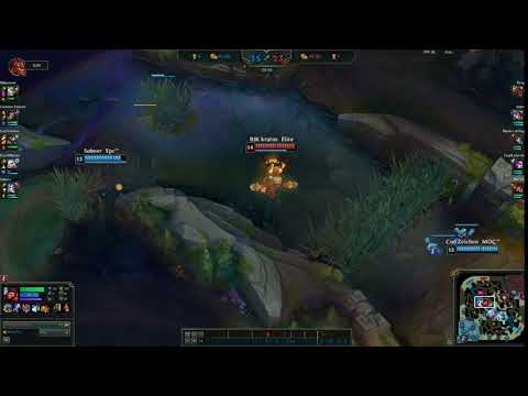 Cod Zeichen - RENGAR VS WUKONG