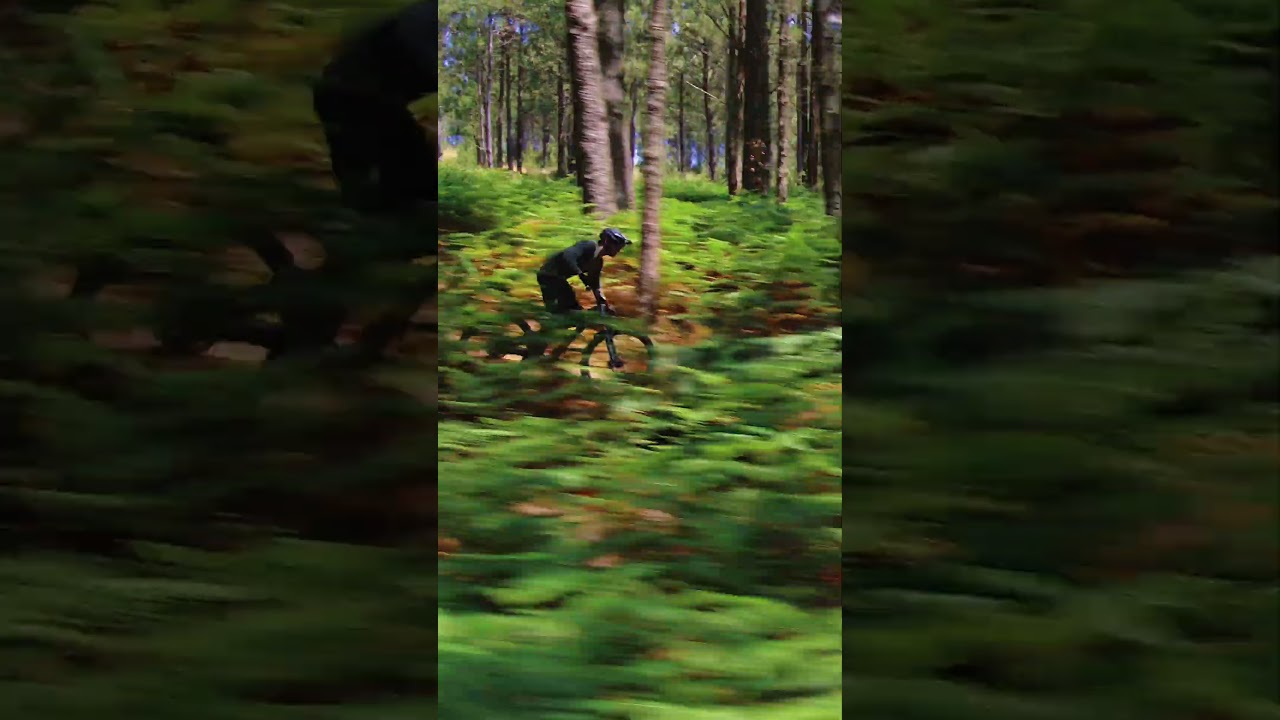 マウンテンバイクのアクション撮影 ｜DJI RS 4 ProとSDR Transmissionの実力