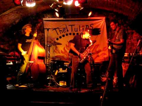 "Neighbours" (The Tulips)