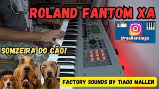 Video thumbnail for ROLAND FANTOM-XA (FACTORY SOUNDS) by TIAGO MALLEN - LINK NA DESCRIÇÃO -  #tecladista #roland by Tiago Mallen