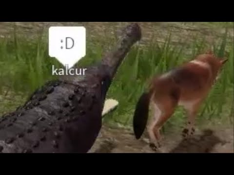 Hunting and Being Hunted - Cenozoic Survival | Roblox