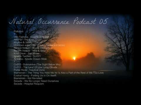 Liquid Fraction - Natural Occurrence Podcast 05 - Ambient DuB Techno Mix - 6th Feb 2023.