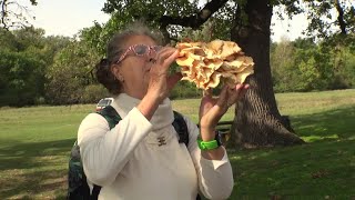 TERMÉSZETVÉDELMI KÖRKÉP