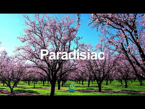 Superpulse - Water Polo & Meeting Deadlines