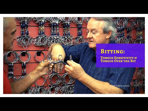 Bitting: Tongue Sensitivity & Tongue Over the Bit