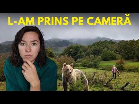 Ne-a MÂNCAT URSUL GĂINILE? Ce am descoperit pe CAMERELE DE FILMARE?