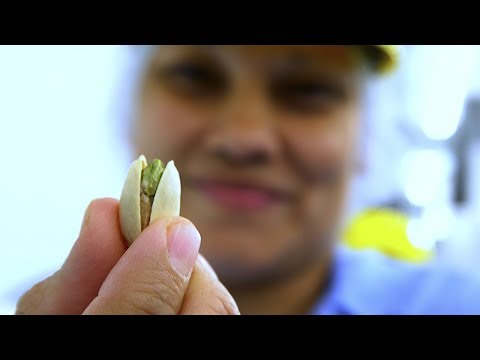 Primex International Trading Corp. - Customer Success Story (Ali Amin - President)