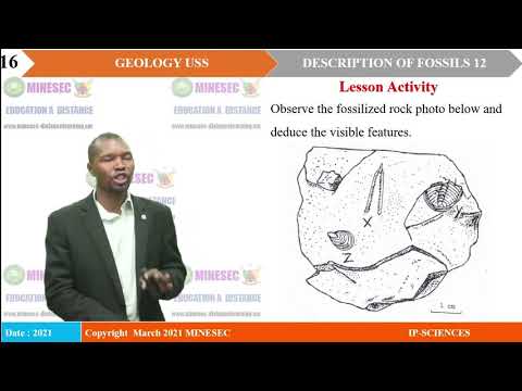 IP-SC GEOLOGY USS Lesson 45 Description of Fossils 12, Phylum Hemichordata