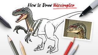 How to Draw Velociraptor 2001 (Raptor) dinosaur from Jurassic Park and World Easy Step By Step
