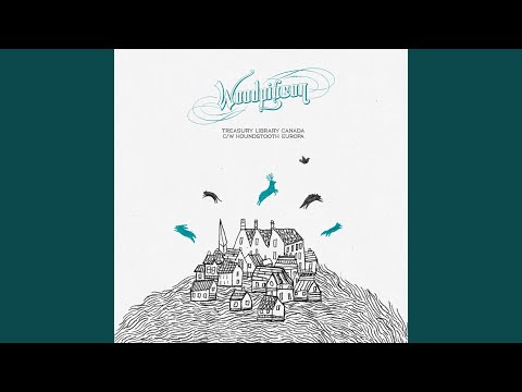 The Hamilton Academicals - Woodpigeon