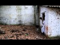 Michael Jackson Thriller Exide Remix Mp4