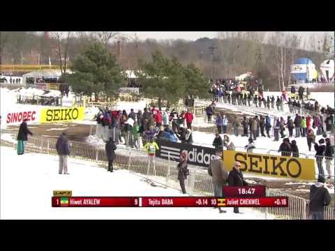 WXC Bydgoszcz 2013 - Senior Women's Race
