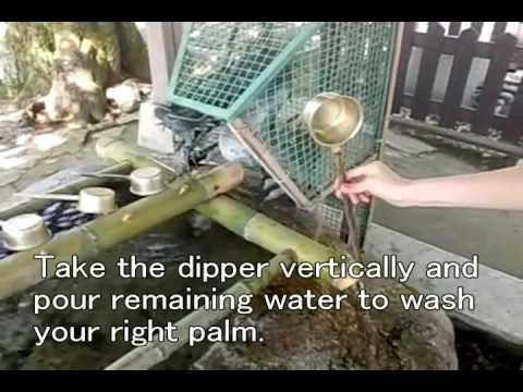 How to worship at a Shinto Shrine?