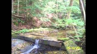 Steuben CounTY NY State Hunting Lease on 37 Acres