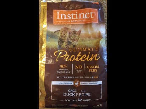 Instinct Ultimate Protein Adult Cat Cage-Free Duck Recipe Review