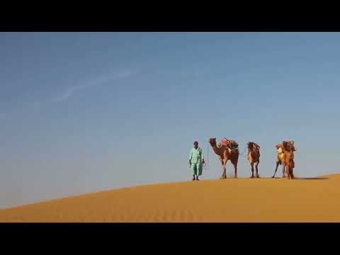 Why Did Homo Sapiens Move Out from Africa?