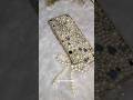 DIY Pearl Phone Cover Handmade Phone Cover For Wedding DIY Pearl Cover Shorts Diy Phone