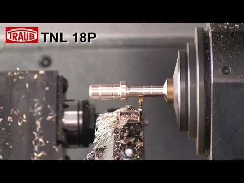 TNL18 Schnecke wirbeln Logo 21