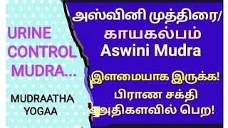 Ashwini mudra, Ashwini mudra in tamil, அஸ்வனி முத்திரை, Ashwini mudra yoga, aswini mudra benefits