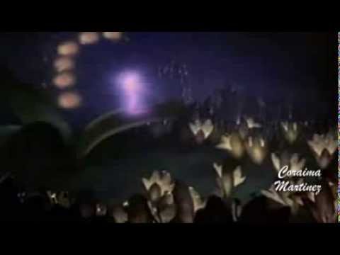 HAPPY BIRTHDAY...''CORAIMA