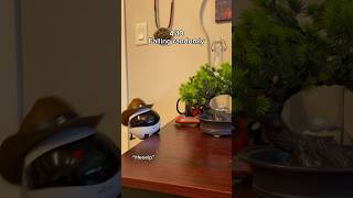 This little robot is so goofy 😭💕 #robot #couple #longdistance