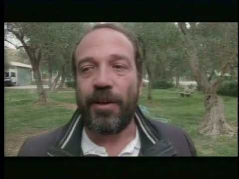 tg 11 Settembre 2017