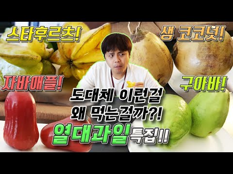 도대체 이런걸 무슨맛에 먹는걸까?! 열대과일 특집!! 스타후르츠, 코코넛, 자바애플, 구아바 리뷰!!｜제이제이