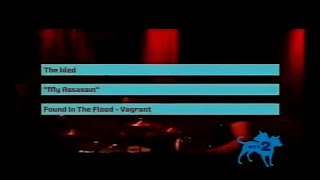 Music video thumbnail preview for THE BLED \\\\ My Assassin [Official Video] ᴴᴰ by The Bled