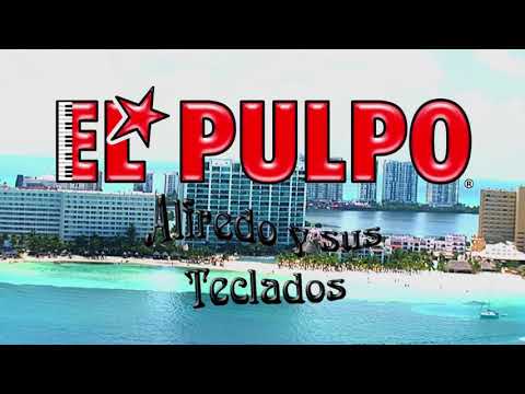 El tiburón -  El pulpo Alfredo y sus teclados