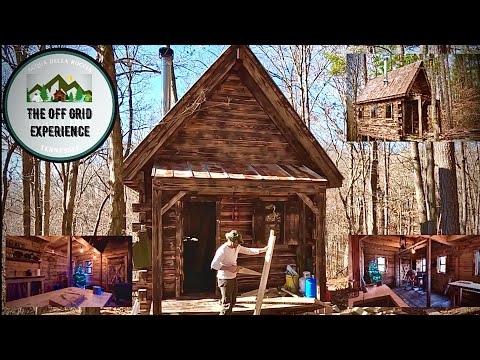How I Built This Off Grid "Log" Cabin Alone and How Much it Cost