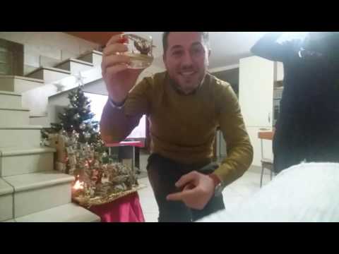 Buon Anno dalla famiglia Larizza😍😍😍