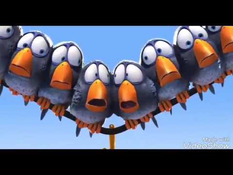 download lagu mp3 mp4 Burung Kartun Terbang, download lagu Burung Kartun Terbang gratis, unduh video klip Burung Kartun Terbang