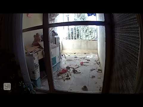 "E.T." A PLAYFUL DOG