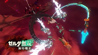 『氷雪グリオーク』との空中戦きたあああああああああああ！！！【ゼルダ無双 封印戦記】#6