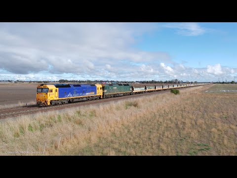 7736V Pacific National Grain Train Stops At Gheringhap Loop (23/6/2023) - PoathTV Railways