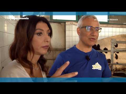 LaC Economia - La Calabria che produce - 06-11-2017